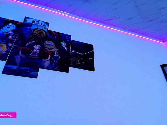 Nicorobin webcam