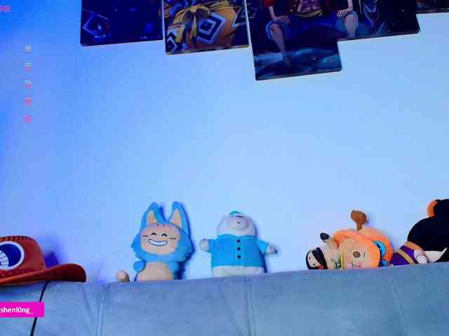 Nicorobin webcam