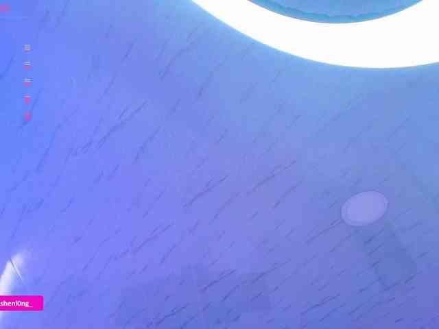 Nicorobin webcam
