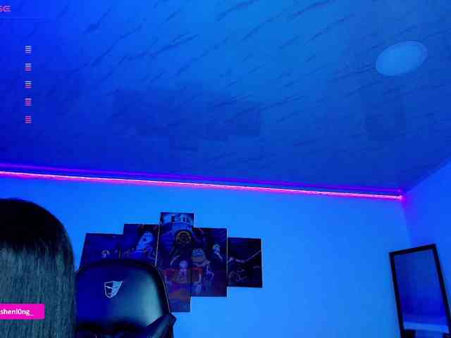 Nicorobin webcam