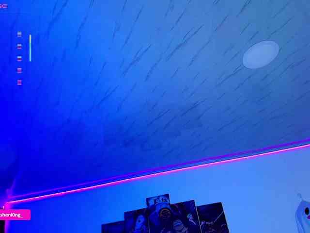 Nicorobin webcam