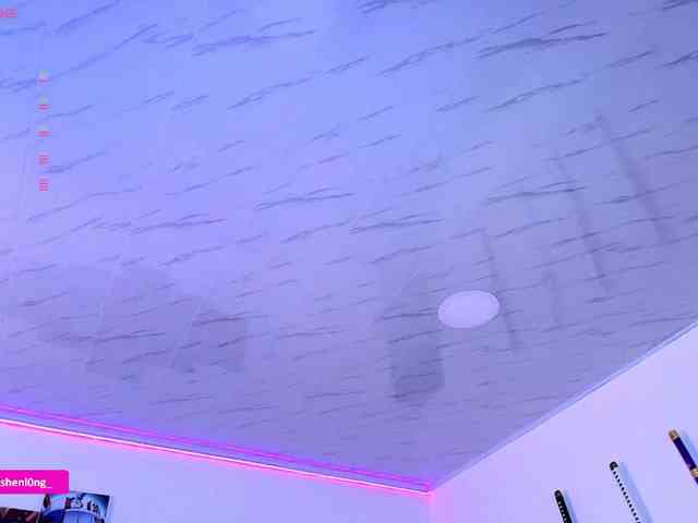 Nicorobin webcam