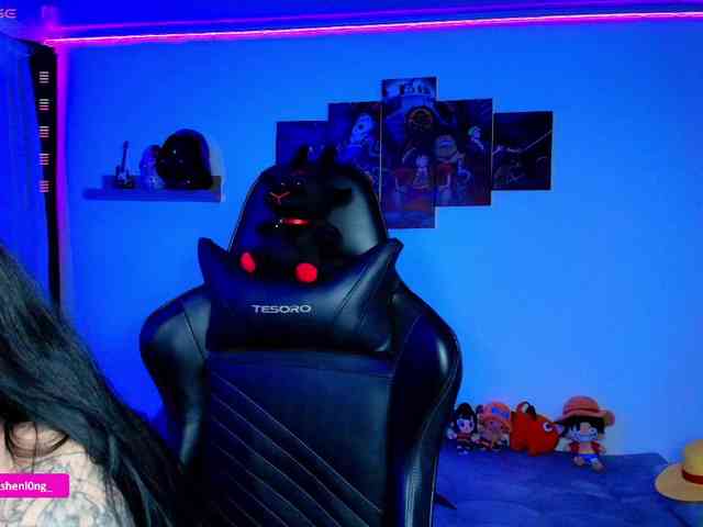 Nicorobin webcam