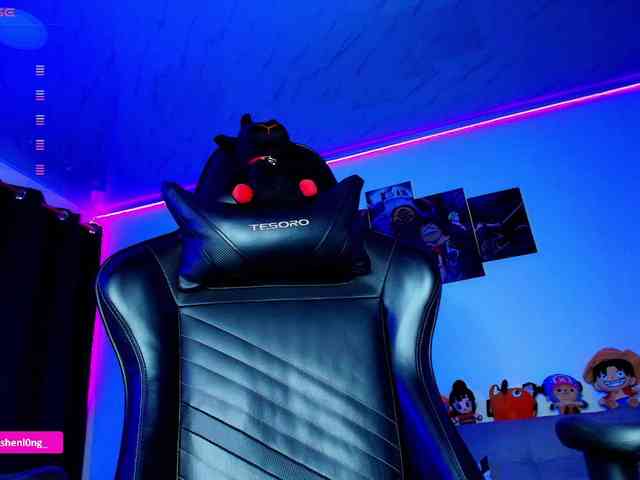 Nicorobin webcam