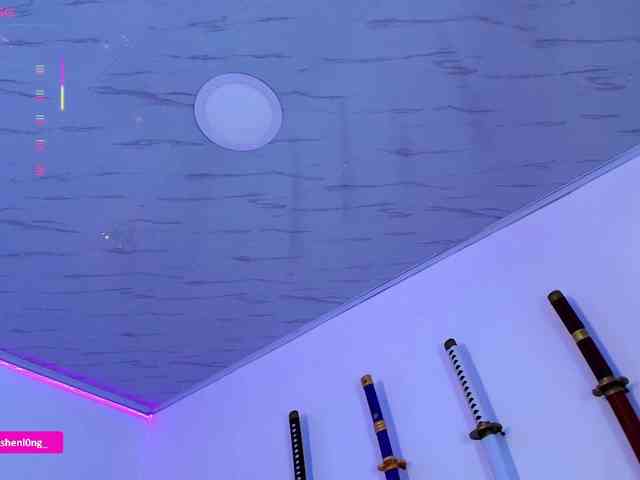 Nicorobin webcam