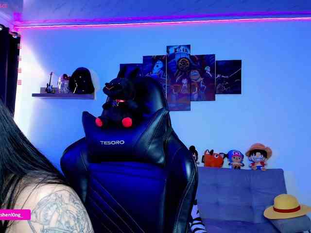 Nicorobin webcam