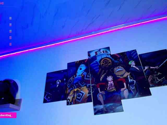 Nicorobin webcam