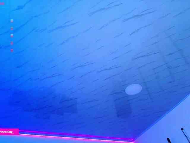Nicorobin webcam