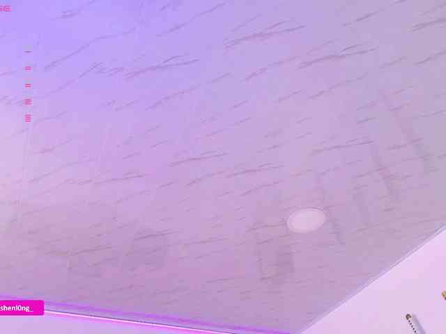 Nicorobin webcam