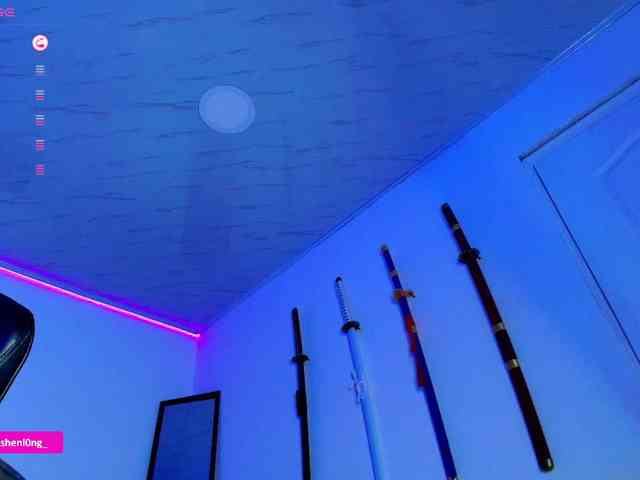 Nicorobin webcam