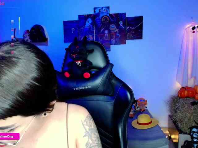 Nicorobin webcam