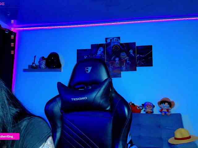 Nicorobin webcam