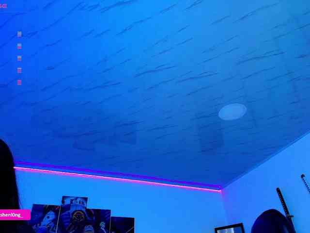 Nicorobin webcam