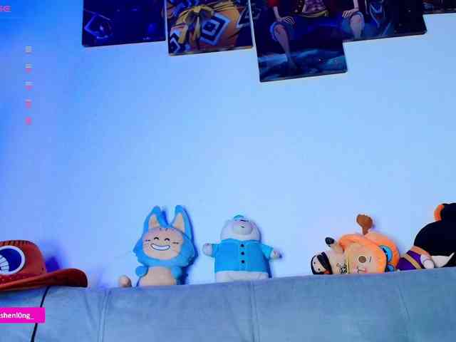 Nicorobin webcam