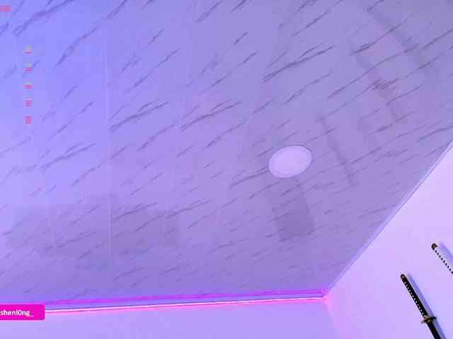 Nicorobin webcam