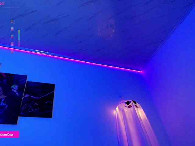 Nicorobin webcam