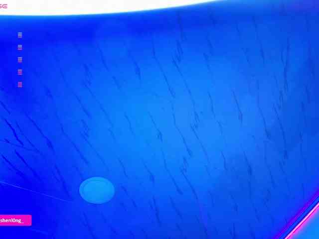 Nicorobin webcam