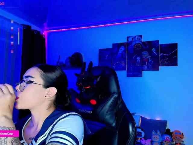 Nicorobin webcam