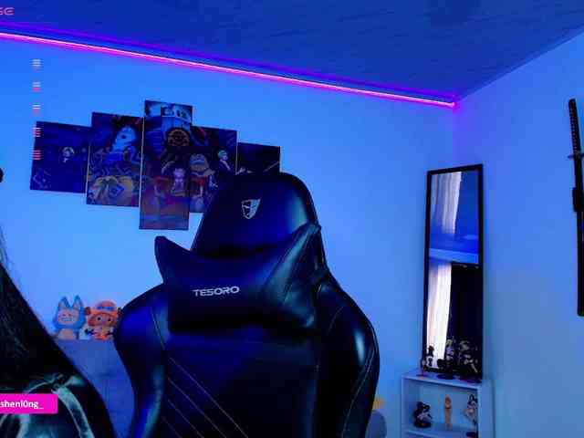 Nicorobin webcam