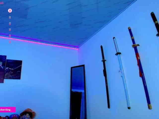 Nicorobin webcam