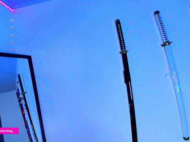 Nicorobin webcam