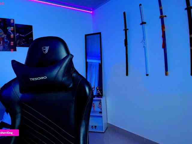 Nicorobin webcam