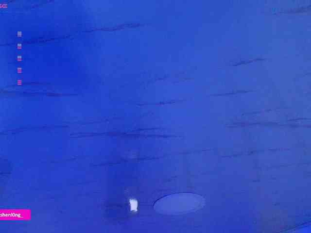Nicorobin webcam