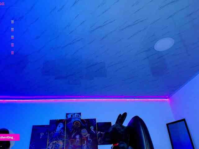 Nicorobin webcam