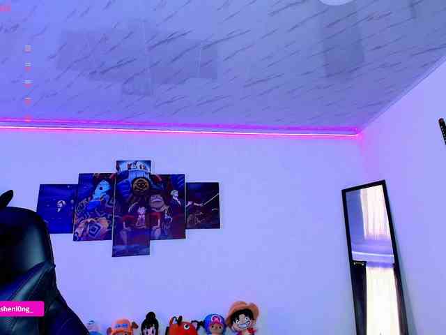 Nicorobin webcam