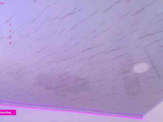 Nicorobin webcam