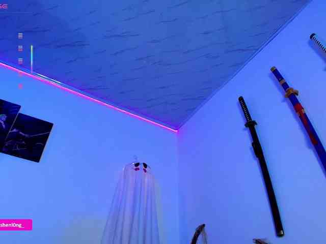 Nicorobin webcam