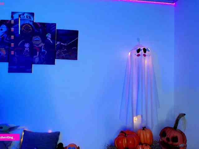 Nicorobin webcam