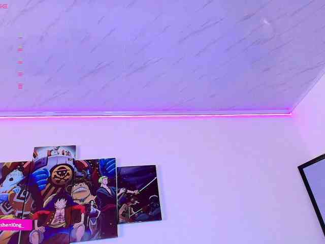 Nicorobin webcam