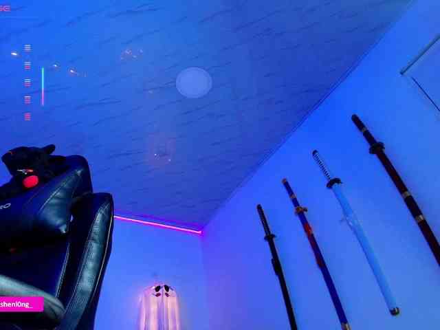 Nicorobin webcam