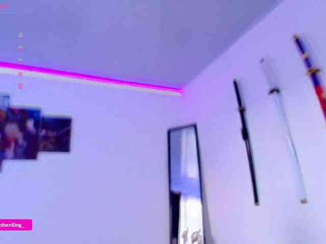 Nicorobin webcam