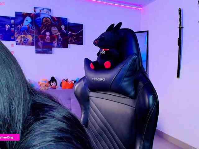 Nicorobin webcam