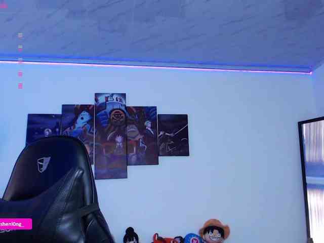 Nicorobin webcam