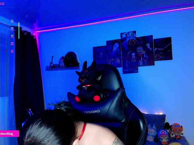 Nicorobin webcam