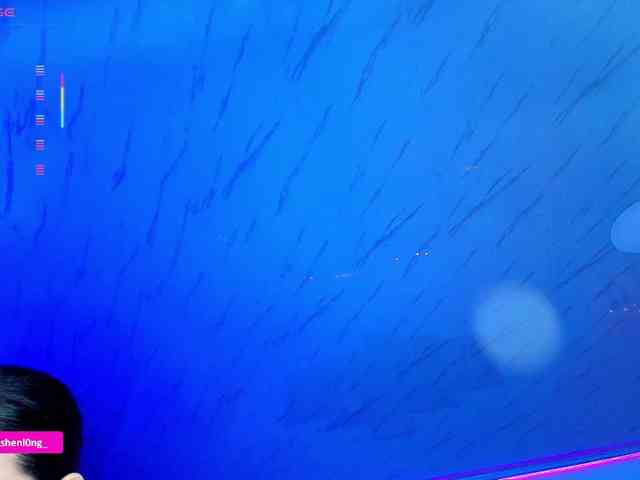 Nicorobin webcam