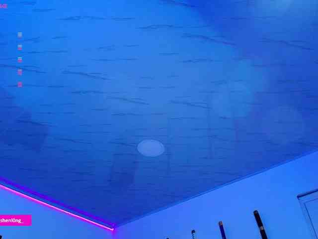 Nicorobin webcam