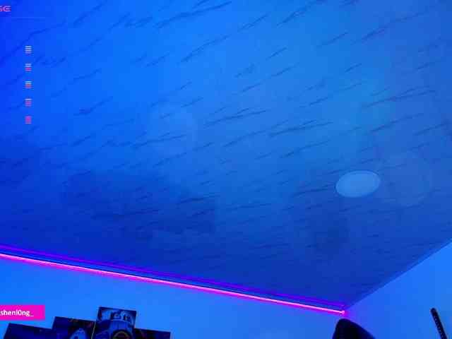 Nicorobin webcam