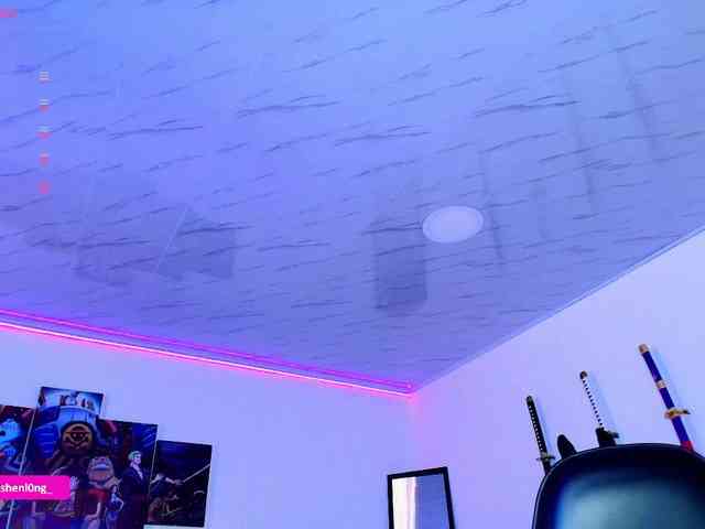 Nicorobin webcam