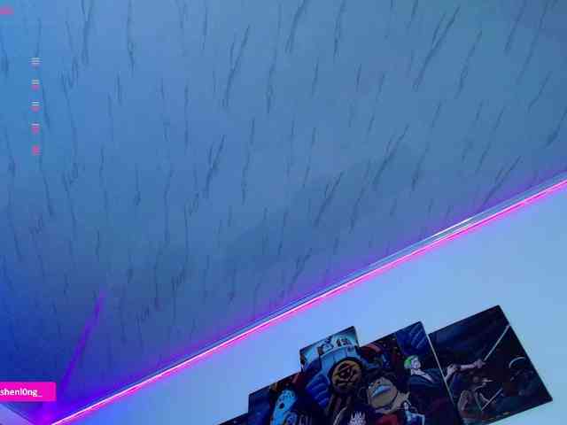 Nicorobin webcam