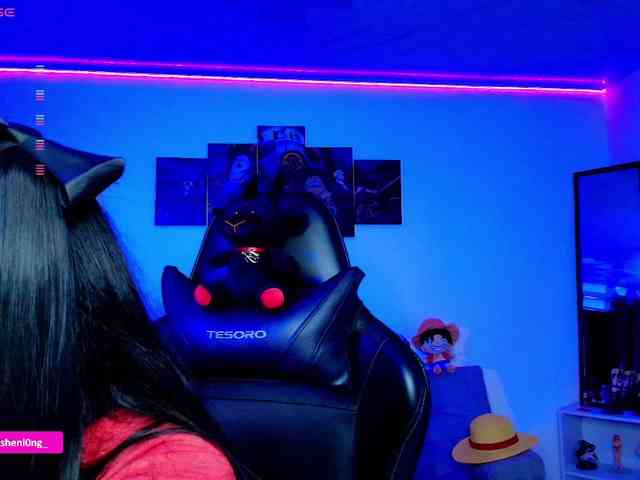 Nicorobin webcam