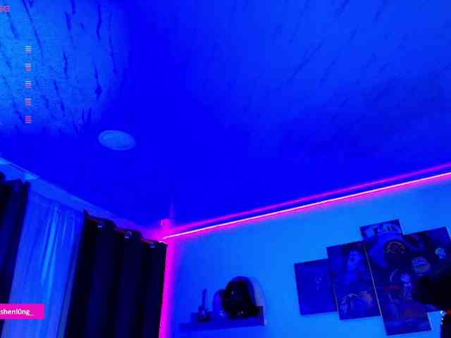 Nicorobin webcam