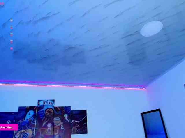 Nicorobin webcam