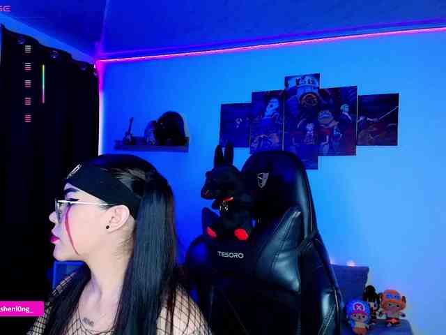 Nicorobin webcam
