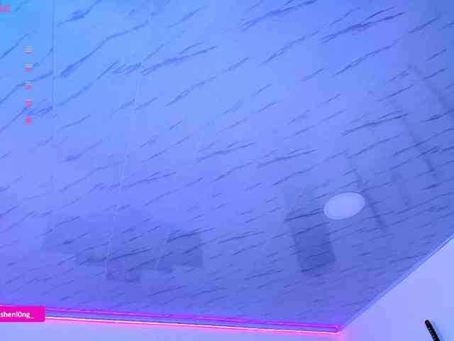 Nicorobin webcam