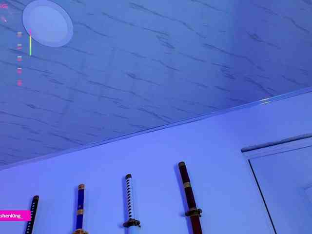 Nicorobin webcam