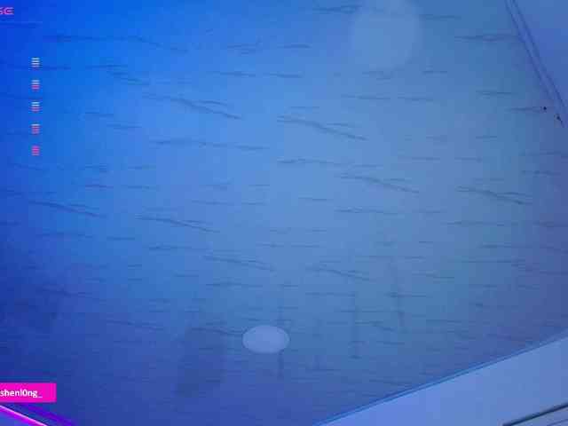 Nicorobin webcam